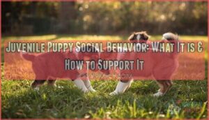 juvenile puppy social behavior