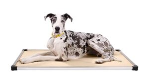 K9 Ballistics Chew Proof Armored B0BLD3BTS9