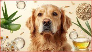 key ingredients and how they function key ingredients and how they function