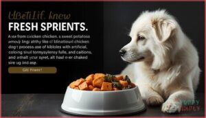 key ingredients to avoid in dog food key ingredients to avoid in dog food