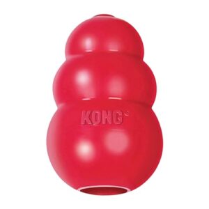 KONG Classic Stuffable Dog Toy B0002AR15U
