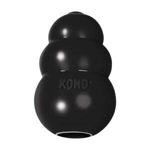 KONG Extreme Dog Toy B0002DHNZA