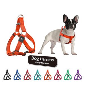 Kruz No Pull Dog Harness B07FTS55HX
