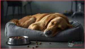 lethargy and loss of appetite lethargy and loss of appetite