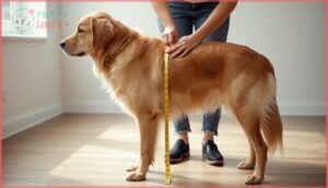 measuring chest girth accurately measuring chest girth accurately