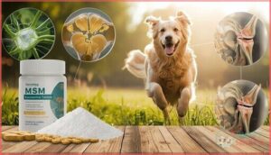 methylsulfonylmethane (msm) methylsulfonylmethane (msm)