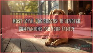 most loyal dog breeds