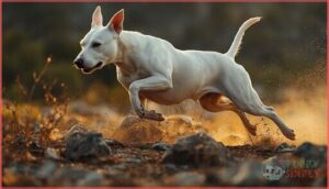 muscular build and athleticism muscular build and athleticism