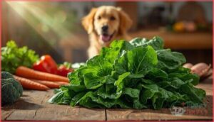 nutritional benefits of collard greens for dogs nutritional benefits of collard greens for dogs