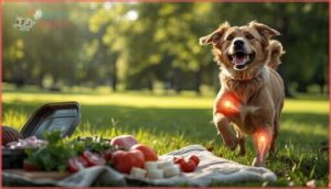 omega-3 fatty acids and joint health omega-3 fatty acids and joint health