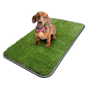 Ottomanson Artificial Grass Puppy Potty B07PR53YRZ