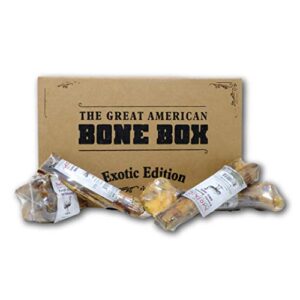 PetKnowledgy Great American Dog Bone B081VSC932