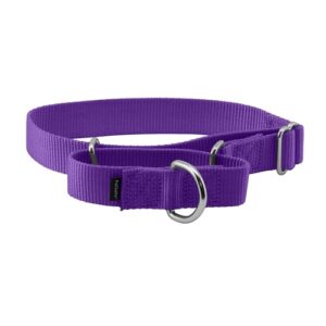 PetSafe Adjustable Martingale Collar B000OGNKO8