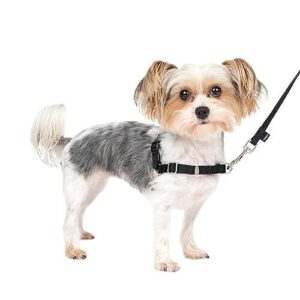 PetSafe Easy Walk Harness for B001TRF3TQ