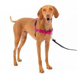 PetSafe Easy Walk Harness for B007S9JOLC
