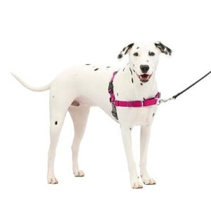PetSafe Easy Walk No Pull Dog B007S9JOO4