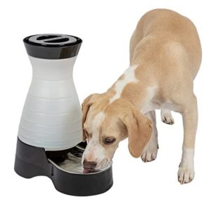 PetSafe Healthy Pet Water Station B002RT8M8O