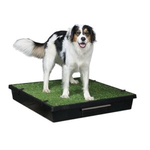 PetSafe Pet Loo Indoor Pet B002DCWA4C