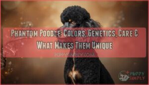 phantom poodle phantom poodle