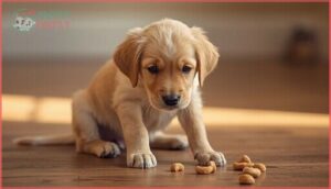 physical and behavioral indicators physical and behavioral indicators