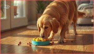 physical and emotional wellness support physical and emotional wellness support