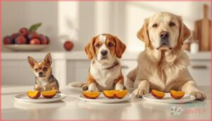 portion size by dog size portion size by dog size