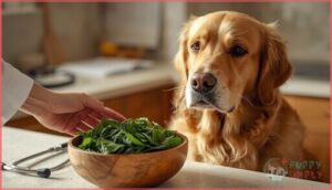 potential risks and health concerns potential risks and health concerns