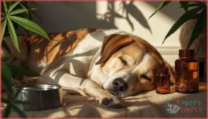 potential side effects of cbd in dogs potential side effects of cbd in dogs