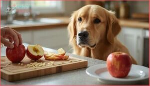 precautions when feeding apples to dogs precautions when feeding apples to dogs