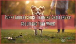 puppy adolescence training challenges