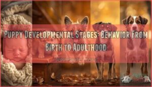 puppy developmental stages behavior