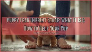 puppy fear imprint stage