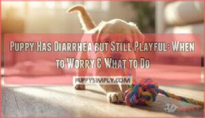 puppy has diarrhea but still playful puppy has diarrhea but still playful