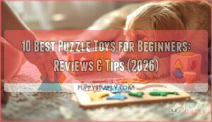 puzzle toys for beginners