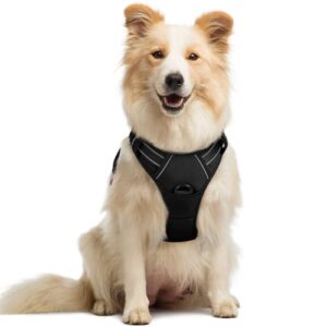 rabbitgoo Dog Harness No Pull B01M6YASY1