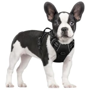 rabbitgoo Dog Harness No Pull B01MA58881