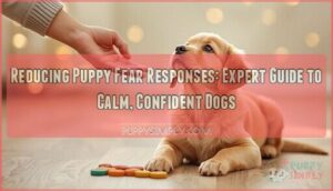 reducing puppy fear responses reducing puppy fear responses