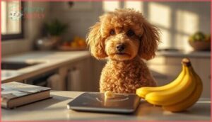 risks and precautions when feeding bananas risks and precautions when feeding bananas