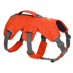 Ruffwear, Web Master, Multi Use Support B0B355SGQP