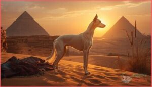 saluki dog breed history and origin saluki dog breed history and origin