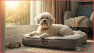 senior years (7+ years) senior years (7+ years)