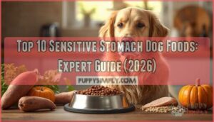 sensitive stomach dog food