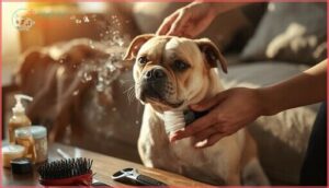 shedding and grooming needs shedding and grooming needs