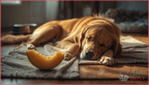 signs of cantaloupe rind overconsumption signs of cantaloupe rind overconsumption