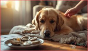 signs of oyster allergies or toxicity in dogs signs of oyster allergies or toxicity in dogs