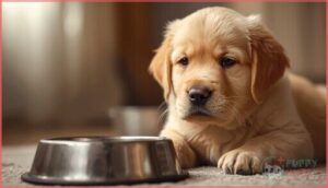 signs your puppy needs sensitive stomach food signs your puppy needs sensitive stomach food