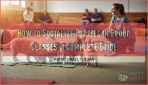 socializing puppies in group classes