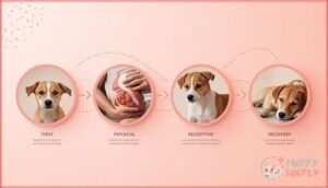 stages of the first heat cycle stages of the first heat cycle