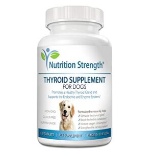 Thyroid Supplement for Dogs, Support B07BZ2FCBW