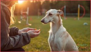 training tips training tips